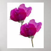 Poster Violet violet Rose Floral (Devant)