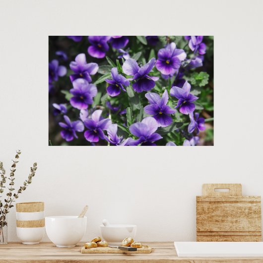 Poster Violets (Cuisine)