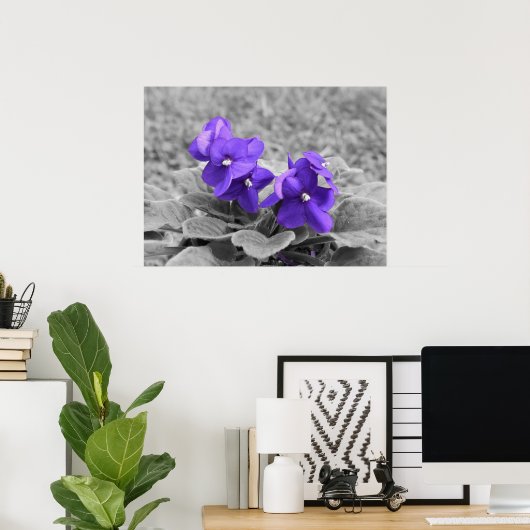 Poster Violets pourpres, (Bureau à domicile)