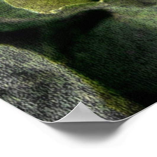 Poster Violets sauvages (Coin)