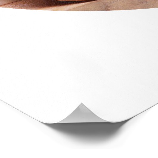 Poster Violets, violets doux c1908 (Coin)