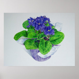 Poster Violette africaine