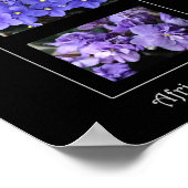 Poster Violettes africaines (Coin)