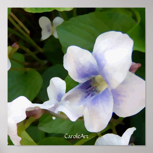 Poster "Violettes blanches peintes" (Devant)