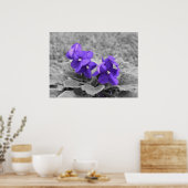 Poster Violettes pourpres, (Cuisine)
