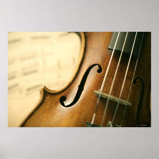 Poster Violon détaillé (Devant)