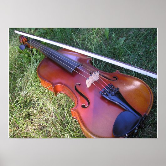 Poster Violon ensoleillé (Devant)