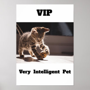 Poster VIP Très Intelligent Animal de compagnie Adorable 