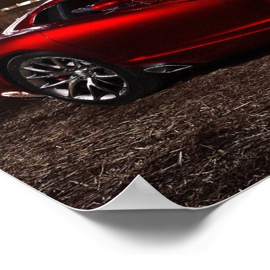 Poster Viper SRT 2013 (Coin)