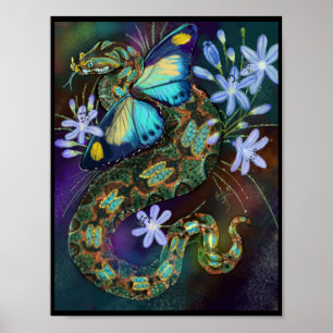 Poster Vipère papillon Bitis Nasicornis