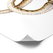 Poster Vipers à cornes (Coin)