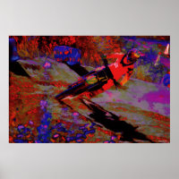 Virage - Motocross Dirt-Bike Racer