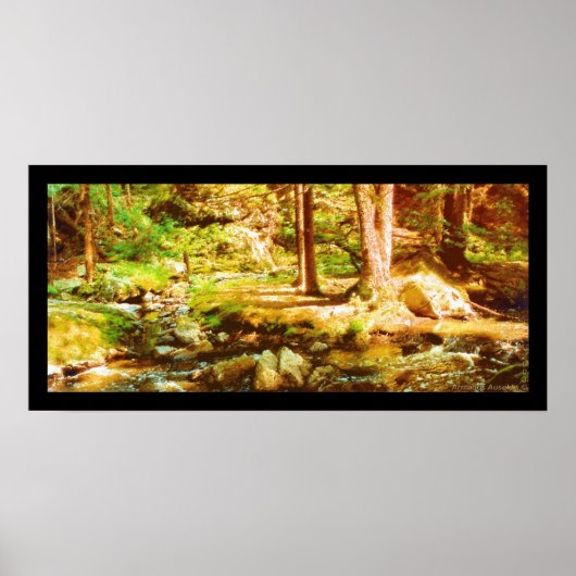 Poster Virgin Whirl (Devant)