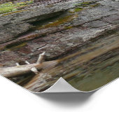 Poster Virginia Falls II at Glacier National Park (Coin)