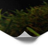 Poster Vis, Amour, Coup de pied (Coin)