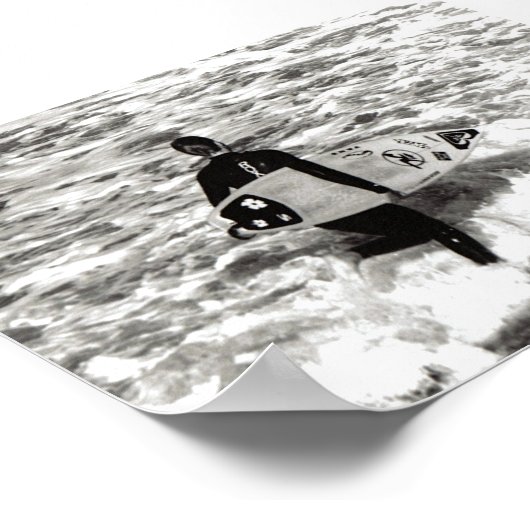 Poster Vis. Amour. Surf. (Coin)