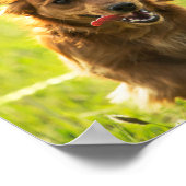 Poster "Vis comme quelqu'un a laissé la porte ouverte" Da (Coin)