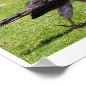 Poster "Vis comme quelqu'un a laissé la porte ouverte" Fa (Coin)