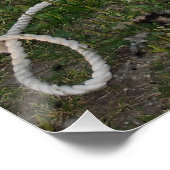 Poster Vis du mouton (Coin)