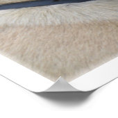 Poster Visage Bullmastiff (Coin)