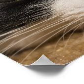 Poster Visage Calico (Coin)