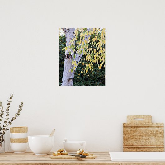 Poster Visage d'Arbre de bouleau Nature (Cuisine)