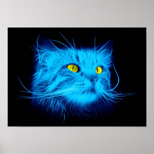 Poster Visage de chat bleu (Devant)