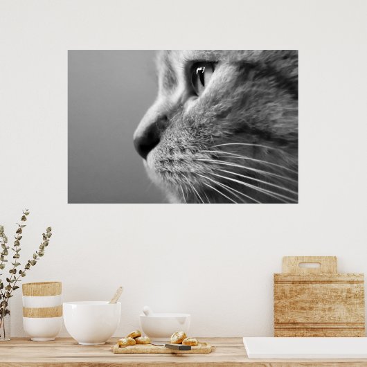 Poster visage de chat mignon (Cuisine)