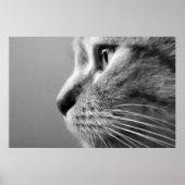Poster visage de chat mignon (Devant)