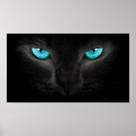 Poster Visage de chat noir aux yeux Turquoise (Devant)