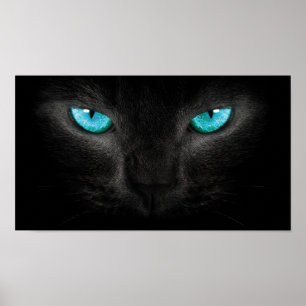 Poster Visage de chat noir avec des yeux de turquoise