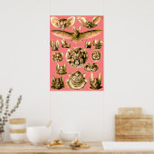 Poster Visage de chaume (Cuisine)