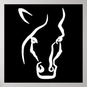 Poster Visage de cheval blanc