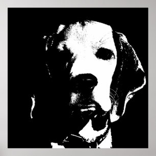 Poster Visage de chien