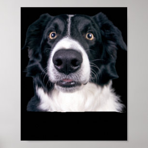 Poster Visage de chien noir et blanc