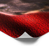 Poster Visage de chien noir et blanc de Terre-Neuve (Coin)