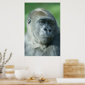 Poster Visage de Gorilla (Cuisine)
