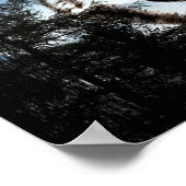 Poster Visage de loup (Coin)