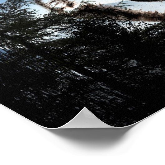 Poster Visage de loup (Coin)