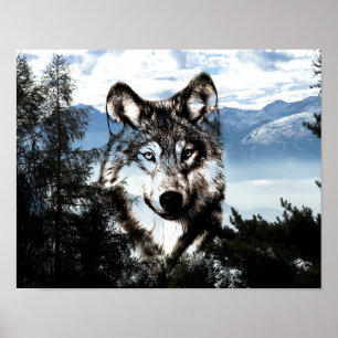 Poster Visage de loup