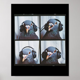 Poster Visage de pigeon mignon Autisme Oiseau sensoriel A