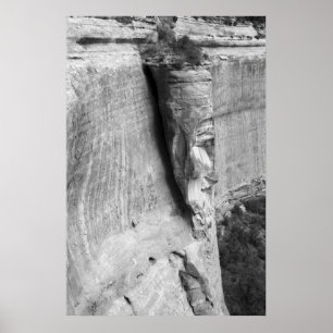 Poster Visage de roche