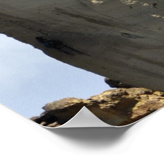 Poster Visage de singe (Coin)