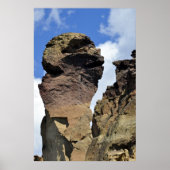 Poster Visage de singe (Devant)