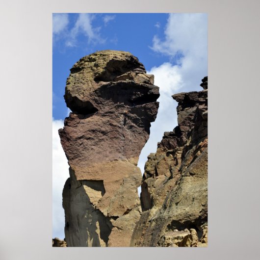 Poster Visage de singe (Devant)