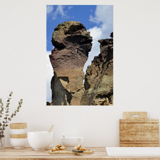 Poster Visage de singe (Cuisine)