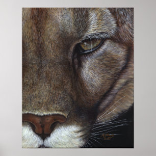 Poster Visage du lion de la montagne Cougar
