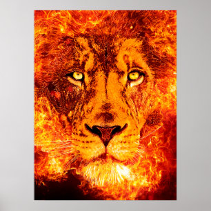 Poster Visage du lion flamboyant