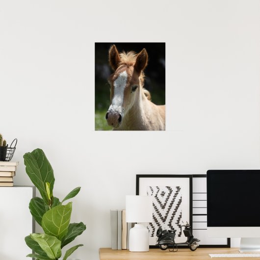 Poster visage du poulain (Bureau à domicile)