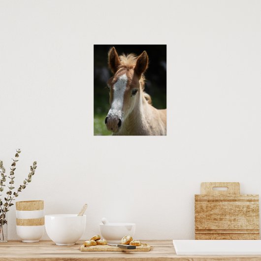 Poster visage du poulain (Cuisine)